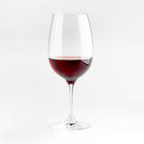 Aspen All-Purpose Big Wine Glass.