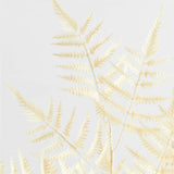 Faux White Fern Leaf Stem.