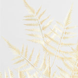 Faux White Fern Leaf Stem.