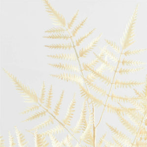 Faux White Fern Leaf Stem.