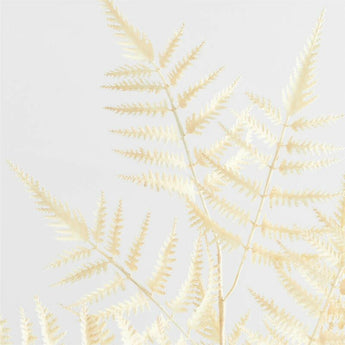 Faux White Fern Leaf Stem.