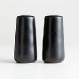 Marin Black Salt and Pepper Shaker Set.