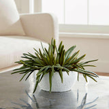 Faux Pencil Succulent.