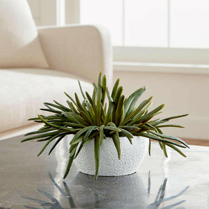 Faux Pencil Succulent.