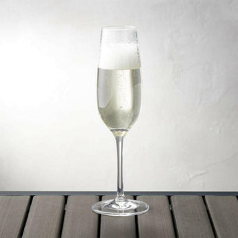 Acrylic Champagne Glass.