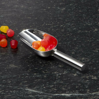 Small All-Purpose Scoop.