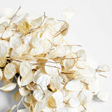 Faux Cream Lunaria Wreath.