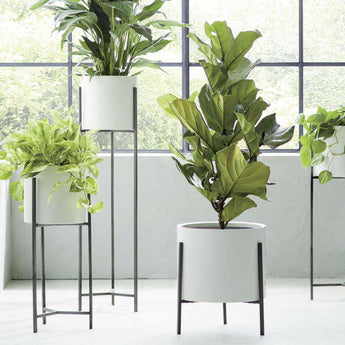 Dundee White Round Planter.