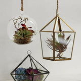 Faux Sedum Album Succulent Stem.