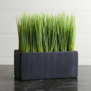 Large Potted Grass.