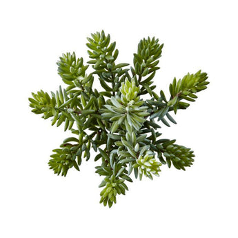 Faux Sedum Album Succulent Stem.