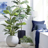 Green Yucca Succulent Stem.