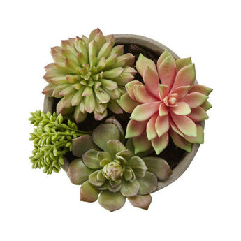 Faux Succulents in Low Round Pot.