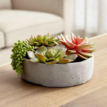 Faux Succulents in Low Round Pot.