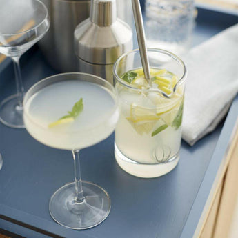 Schott Zwiesel Tour Martini Glass 11-Oz.