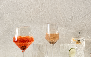  La Guía Definitiva: Tipos de Copas de Vino 