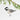 Adorno de lana de fieltro para el árbol de Navidad Chickadee