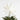 Estrella de papel para el árbol de Navidad