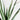 Planta de sisal de imitación de agave en maceta.