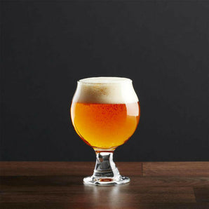 Catador belga Cristal.