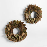 Corona de magnolia polvorienta.