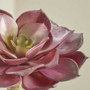 Tallo artificial de la suculenta Echeveria.