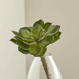 Tallo artificial de la suculenta Echeveria.