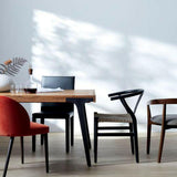 Piedra Shiitake de Barril Cullen.