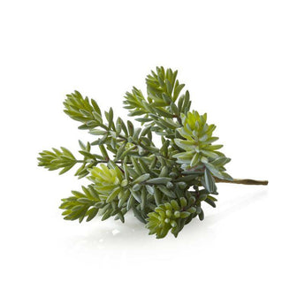 Tallo suculento de Faux Sedum Album.