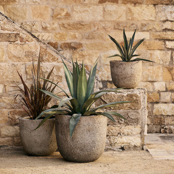 Elegant indoor and outdoor planters collection by Crate & Barrel, perfect for stylish home gardening and decor.