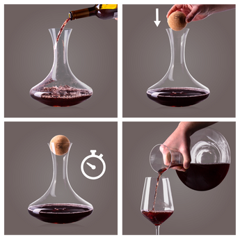 Vacu Vin Wine Decanter.