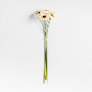Tallos de gerbera artificiales, juego de 5, de Abigail Ahern