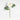 Faux Peony Stem by Abigail Ahern