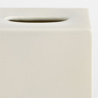 Ceramic Tissue Holder.