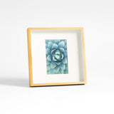 Brushed Brass Frame 4X6.