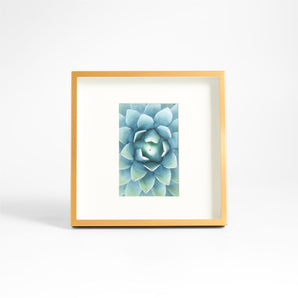 Brushed Brass Frame 4X6.