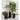 Junio Small Round Dark Grey Planter 13".
