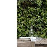 Andorra Weathered Grey Wood Outdoor Dining Chair with Taupe Cushion.