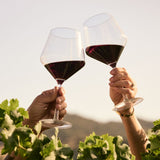 Tour Red Wine 24 Oz Set Of 4.