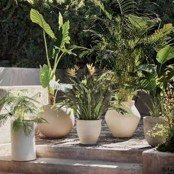 Sphere Lg Ivory Textured Planter.