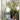 Walker 31.5" x 31.5" Tall Rectangular Black Planter.
