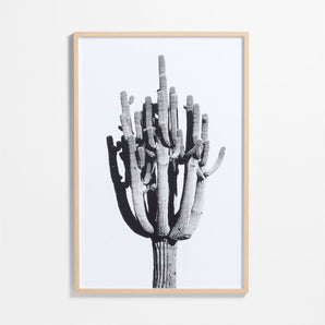 "Cactus" by Jennifer MaHarry Framed Photography Print