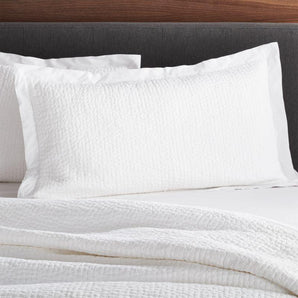 Org Celeste King Sham White.