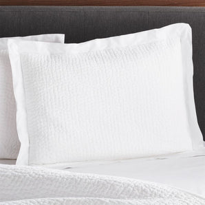 Org Celeste Std Sham White.