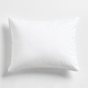 Orgctn Feather/Down Stnd Pillow.