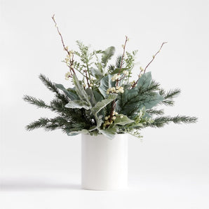 Dusty Miller Potted Arrangement Tall
