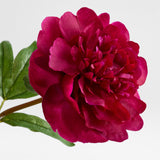 Fuschia Peony Stem.
