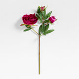 Fuschia Peony Stem.