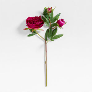 Fuschia Peony Stem.