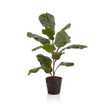 Faux 3.5' Fiddle Leaf Fig Tree.